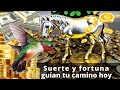 Manifiesta Abundancia prosperidad  El colibrí de la Abundancia - FORTUNA PROSPERIDAD Y RIQUEZA