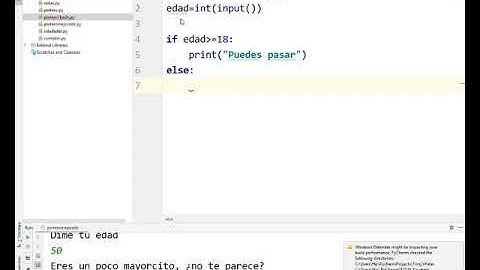 Portero discoteca IF simple en Python TIC 1 Bachillerato IES Monterroso