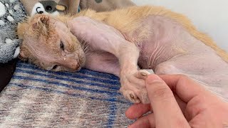 видео: «Пожалуйста, не покидай меня, мне так страшно» — Он проснулся, взял меня за руку, и я оставалась картинка: «Пожалуйста, не покидай меня, мне так страшно» — Он проснулся, взял меня за руку, и я оставалась