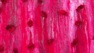 music in red fields composed and performed by chris payne electronic circus