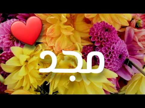 أغنية إسم مجد مجد اغاني