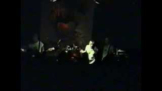 Braindance - Live in Berlin - Forever cold