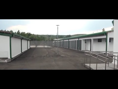 მიუსაფარ ცხოველთა თავშესაფრის რეორგანიზაცია გორში