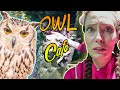 #6 MERAVIGLIOSO! un caf di GUFI e gatti! owl caf and cat caf in Tokyo!