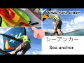Wingを途中で投げる？！シーアンカーの意外な使い方で、wingfoil down wind