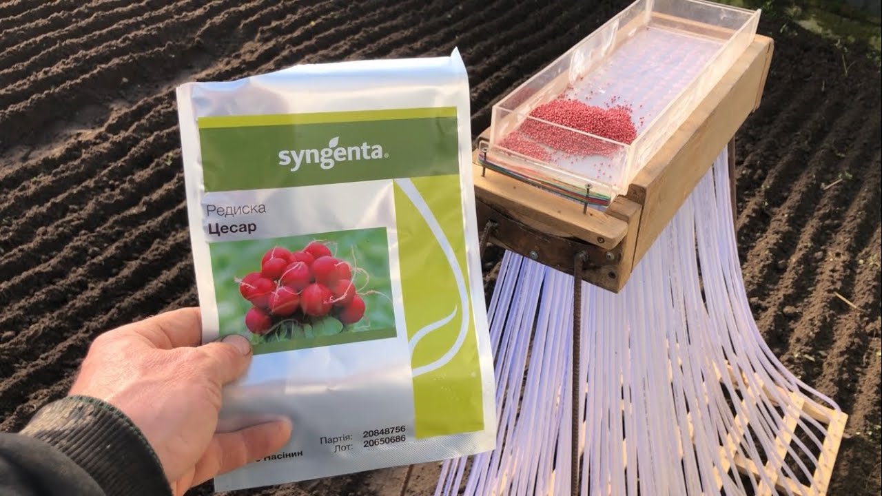 Посів редиски, нові технології за допомогою скотча,і дезінфекція теплиці 