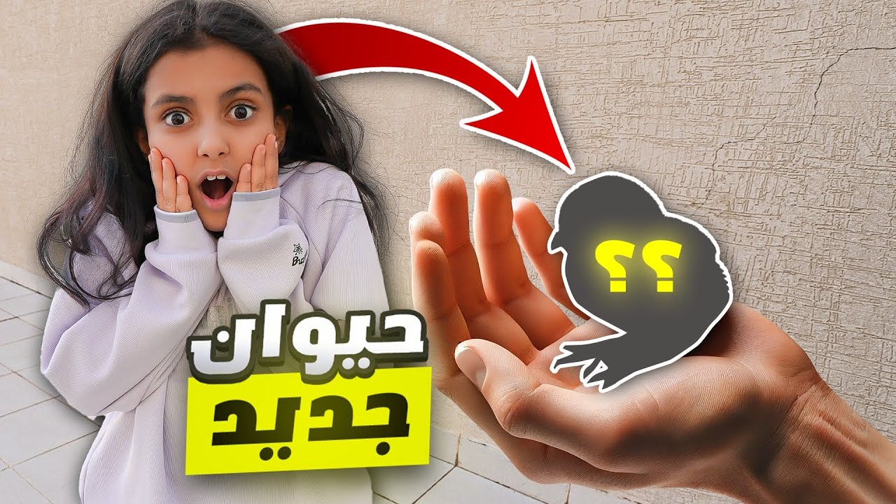 خافت من الصوص الغريب ! توتو ولولو