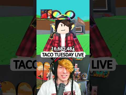 TACO TUESDAY 🌮