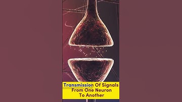 Neurons Animation| signal transfer #shorts #viralshorts