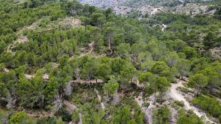 Subida Al Tossal Gros