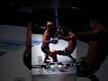 Mighty Mouse Revenge || #mma