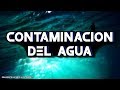 La contaminación del agua|| Video de concientización || Leer Descripción