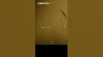 This is why you should run SEMTEX!