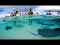 Grand cayman  stingray city sandbar gopro