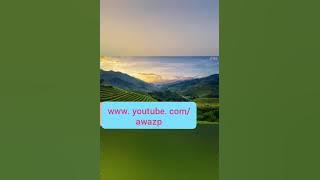 sura bani israil (77-82) by shaikh abdul wali al arkani