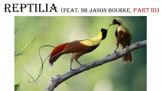 Paleo Talk (16) Part 3 - REPTILIA// ARCHOSAURIA// Extant Birds (feat. Dr Jason Bourke)
