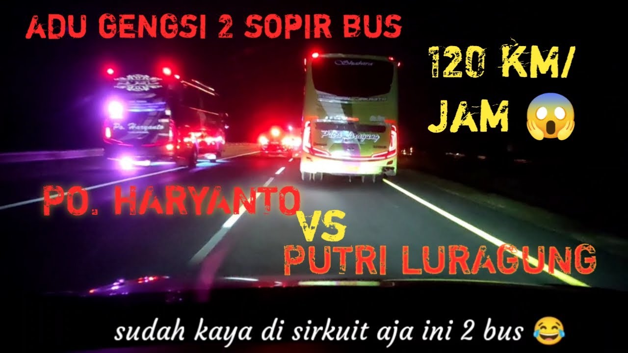 adu gengsi‼️bus luragung tidak mau disalip bus po haryanto