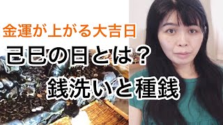 お財布を買う日、使い始める日はいつがいい？（開運日・六曜・日運数・種銭・銭洗い・乙巳の日）