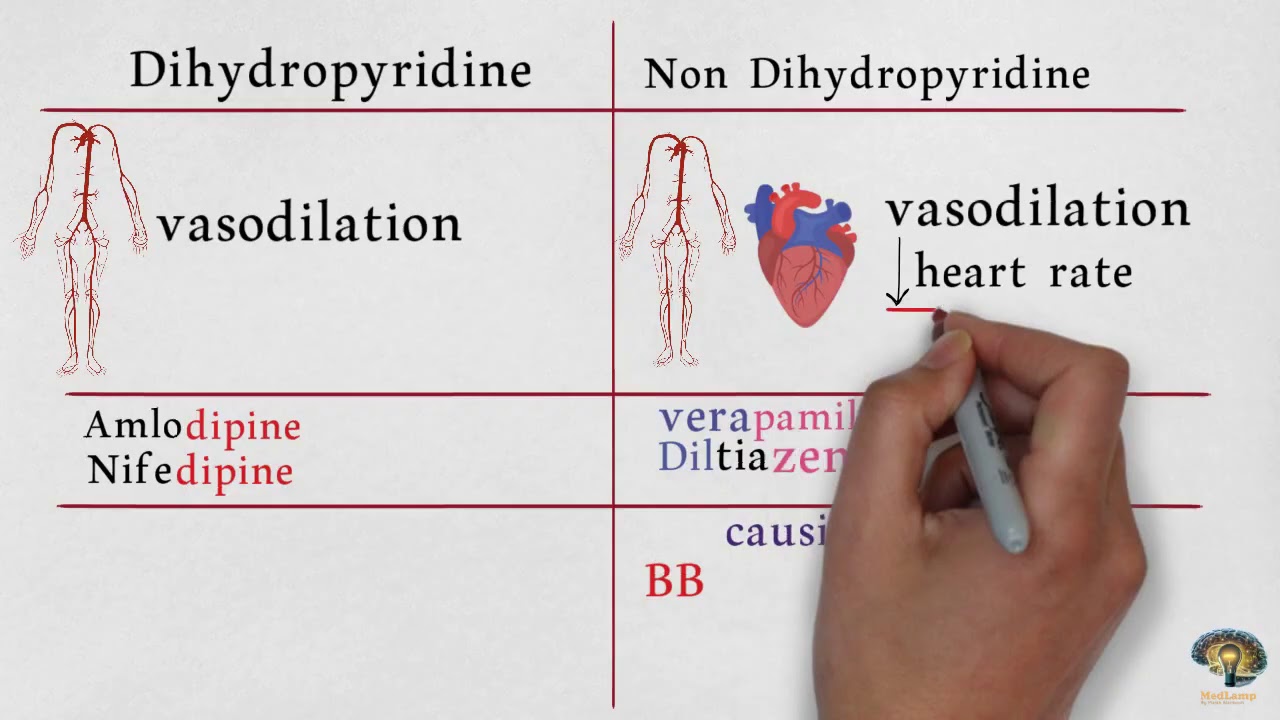 calcium channel blocker