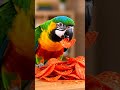 Parrot Crunches Spicy Chips 🌶️🦜 Loud ASMR