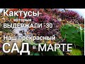 Обзор САДА в МАРТЕ + мои весенние РАБОТЫ . Обрезка сада началась.