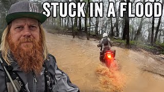 The Dangers of Adventure Riding
Day 7 of the SEBDR was all about waterβflooded trails, washed-out roads, and some sketchy crossings that kept us on our toes.
Purchase Moto Mission stickers:
πhthttps://moto-mission-brock-gill.myshopify.com/products/lets-ride-shield-decal
Purchase a Black Moto Mission Hat:
πhttps://moto-mission-brock-gill.myshopify.com/products/moto-mission-retro-trucker-hats
Donβt forgetβBrock is currently riding all 50 states in 50 days! ποΈ
Follow the journey, and track him live on RISER.
πhttps://livetracking.riserapp.com/web/map/5v/bk/1234
Wanting to ride a leg with Brock when hes in your state? Fill out this form:
π https://www.motomission.com/50in50#50ride
Use our code to get RISER Pro for 50% off
π MOTOMISSION50
https://link.riserapp.com/motomission2025
π Website: https://Motomission.com
β
Stay Connected With Me:
π Instagram: https://www.instagram.com/brockgill/
π Facebook: https://www.facebook.com/brockgill
π Twitter: https://twitter.com/brockgill
β
Other Videos You Might Be Interested In Watching:
π Ive Kept This Secret for 19 Months
https://youtu.be/X_8cS1OuXx8
π Trouble at 13,000 FT
https://youtu.be/mF9NMAoQy9k
π I Broke the Law While Riding the Smokies
https://youtu.be/MMNKUg0xfnE
π How Bikes and Beards Ruined my Ride
https://youtu.be/p31qanUXLPw
π Ophir Pass Rescue: Timely Aid to a Downed Rider
https://youtu.be/WMndBq9BJf4
For Collaboration and Business inquiries, please use the contact information below:
π© Email: brock@motomission.com
π Subscribe to my channel for more videos:
https://www.youtube.com/@MotoMission.
#adventure #MotoMission #adventuremotorcycling #dualsport #outdoors #OffRoadAdventure #southeast #sebdr #bdr The Dangers of Adventure Riding