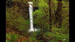 Silver Falls State Park Waterfall Adventure with Randall J Hodges