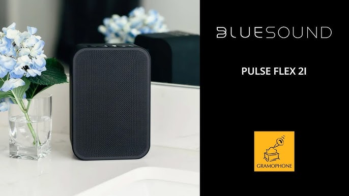 i aften At understrege Forstyrre How to connect Bluesound Flex 2 to Alexa - You will Kick Yourself - Its so  EASY with this method - YouTube