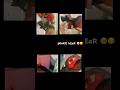 What did I just create… #christianpuppeteer #cringe #dragon #art #help #whydidimakethis#goviral #fyp