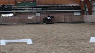 Initiator Praktijkexamen Deel Iii