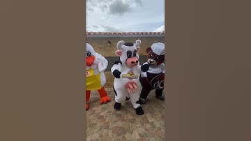 Thumbnail of LA MISMA VACA #lavaca #lamismavaca #empresa #fyp #mascotascorporativas ￼