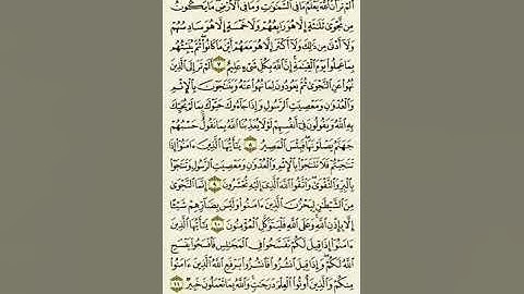 سورة المجادلة من الآية ٧ إلى الآية ١١بصوت القارئ ماهر المعيقلي