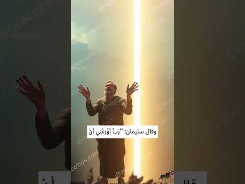حكمة سيدنا سليمان وتواضعه أمام النمل