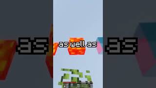 21 Minecraft Debug Mode