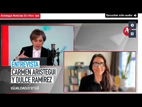 ENTREVISTA CON CARMEN ARISTEGUI: RASTROS CLANDESTINOS