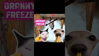Granny Freeze 😱 | Granny Freezer Trick 💀🔥#granny #grannygame