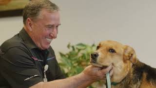 Ronald Monette, Pet Therapy Volunteer