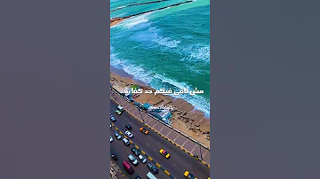 كلكو قله مفيش فيكم كبير رضا البحراوي النمر 