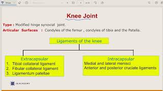 شرح مادة Anatomy محاضرة joints of the lower limb  مع الدكتور علاء مشهور screenshot 4