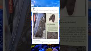 Not My Print… Check the Footage 😱🖨️ #TechMystery #ViralShorts #TrendingNow