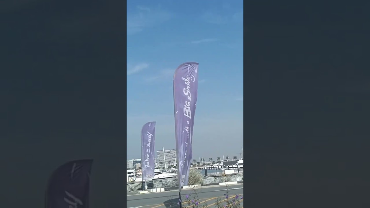 Exploring Near 🪂 Skydive 🪂 Dubai 🇦🇪