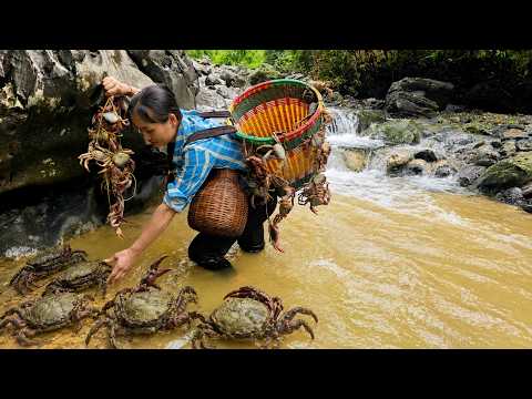 After the Rain, We Found Giant Mountain Crabs and Cooked a Feast