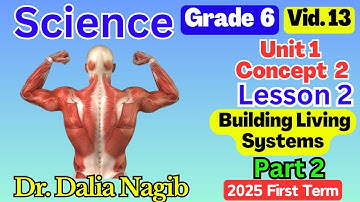 ساينس سادسة ابتدائي ترم اول 2025  Science Grade 6 Concept 2 Lesson 2 P-2  Bulding Living Systems