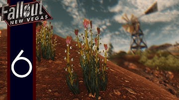 Beauty of Fallout: New Vegas - Part 6
