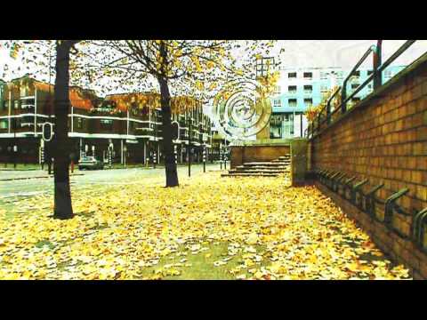 Herfst en Nieuwegein - Spinvis
