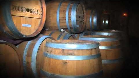 Nine Network - Prohibition in St. Louis - Wine