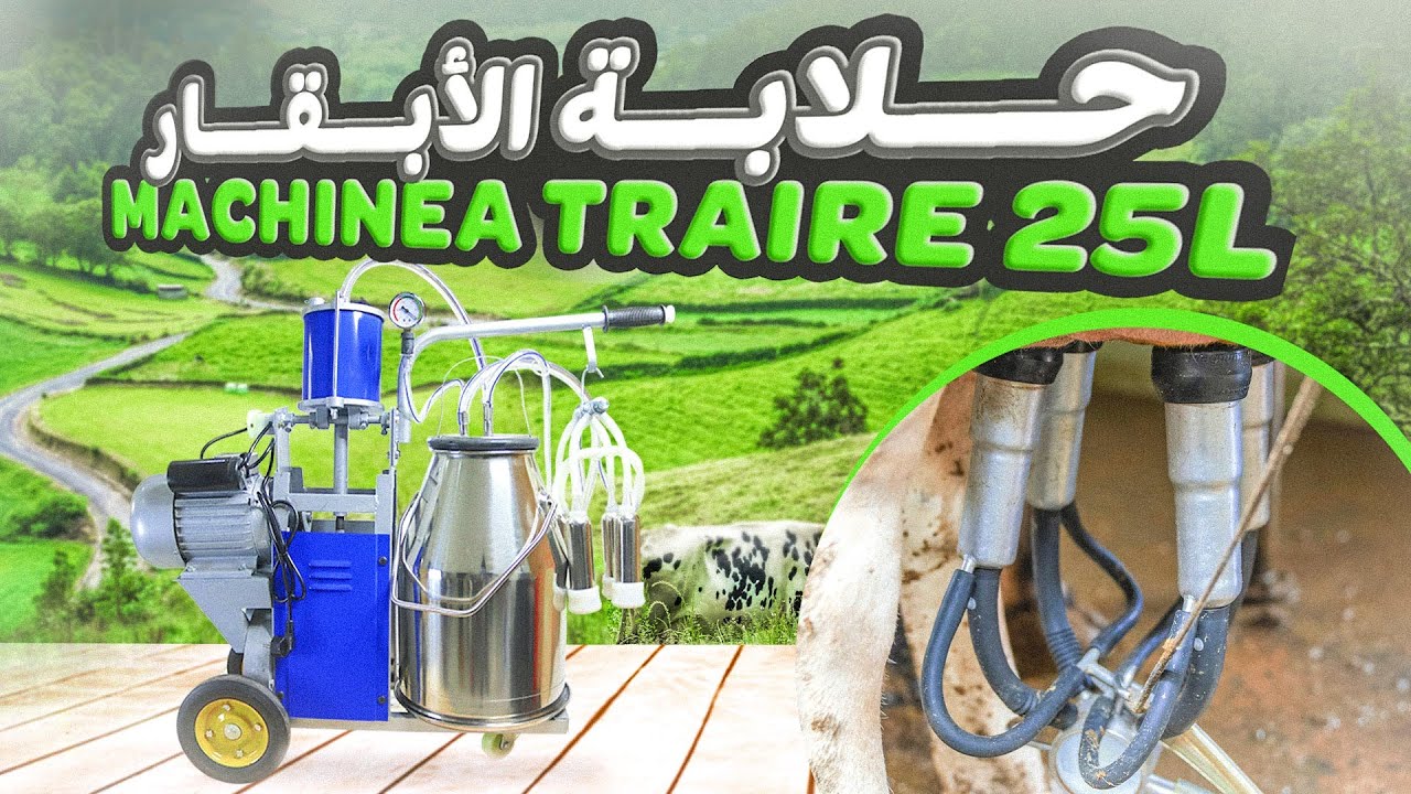 Machine a traire 25L pour vache حلابة كهربائية للأبقار - YouTube