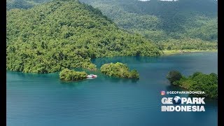 Danau Matano, Danau Terdalam Asia Tenggara yang Dihuni Ikan Purba Part 1 - Geopark Indonesia 22/09