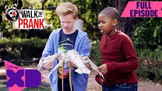 A Moving Situation | S1 E3 | Full Episode | Walk the Prank | @disneyxd