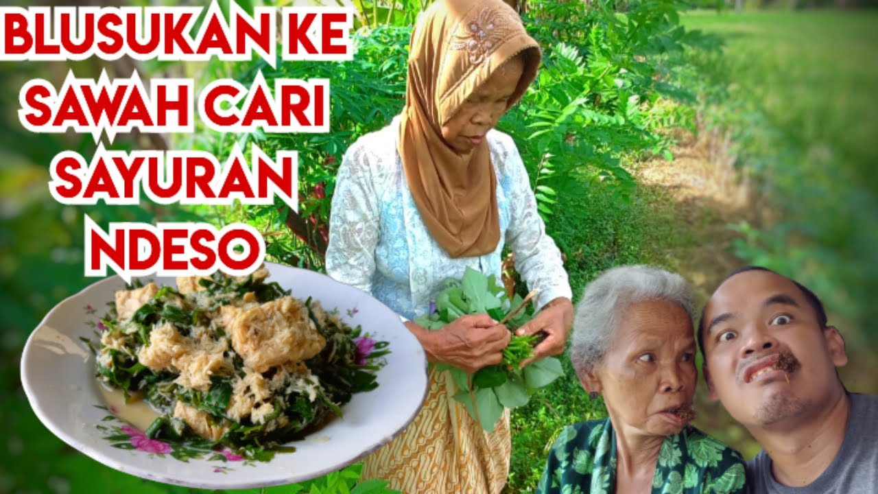 Hanya Orang Kampung yang Ngerti Sayuran ini, Blusukan Ke Sawah.